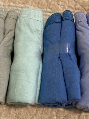 Hanes NWT Pastel Womens Briefs Size 7